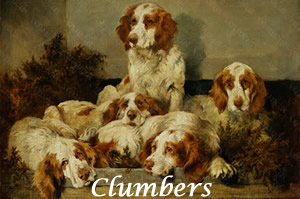 Venaticus Collection - Clumbers