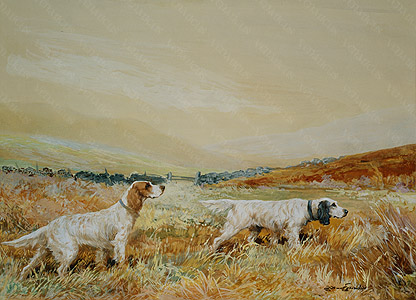 Venaticus Collection - English Setters below Cross Fell