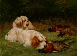 Clumber Spaniels and Pheasants, a painting by a little-known artist, Tom Heywood, dated 1904